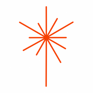 Reignite Development Site Icon